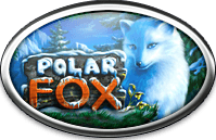 polar fox (лиса)