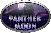 panther moon